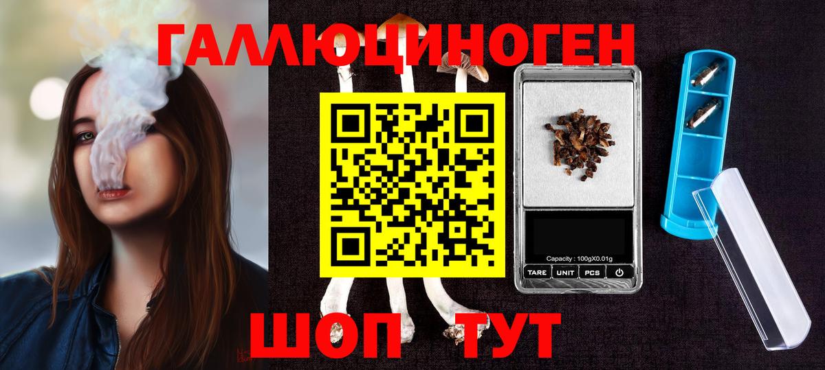 Мыски  Галлюциногенные грибы Magic Shrooms  что такое   Вход с VPN 